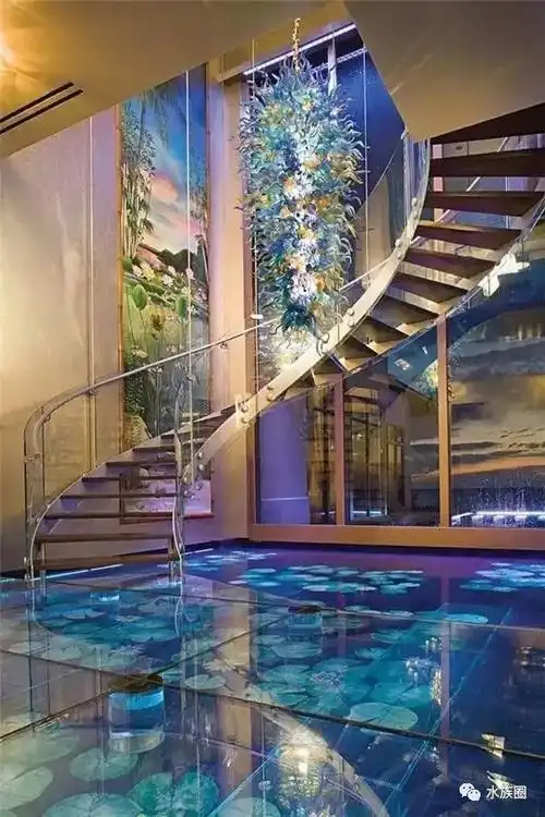 看看土豪家的鱼缸小编只能说我是平常人