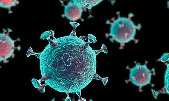 十种常见的微生物有哪些?