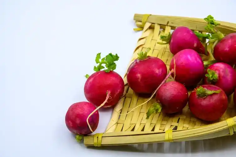 萝卜 水萝卜 蔬菜 植物 农作物 种植 食品 食物 食材 生食 熟食 清爽