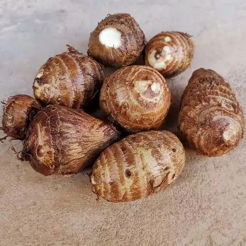 新鲜芋头小芋头10斤批发云南农家软糯毛非荔浦大芋头