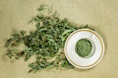 薄荷, 薄荷.干草药.草药, 植物第奇第摄影图