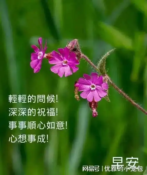 星期五20231117秋天的早晨祝福问候语早安图片