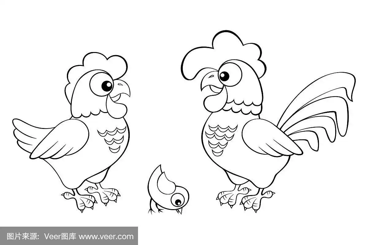 母鸡,公鸡和小鸡.黑白矢量插图着色书