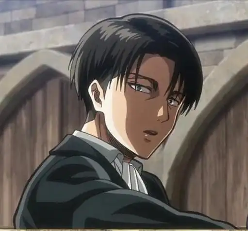 兵长yyds利威尔兵长兵长头像