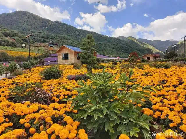 民和七里寺花海景区游记