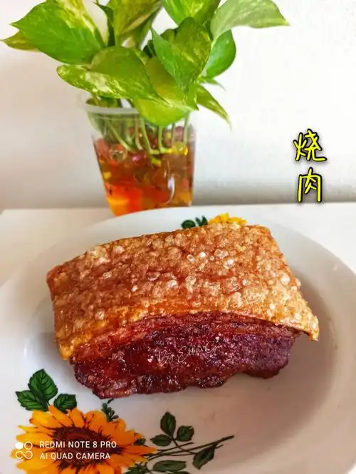 🇲🇾气炸锅烧肉