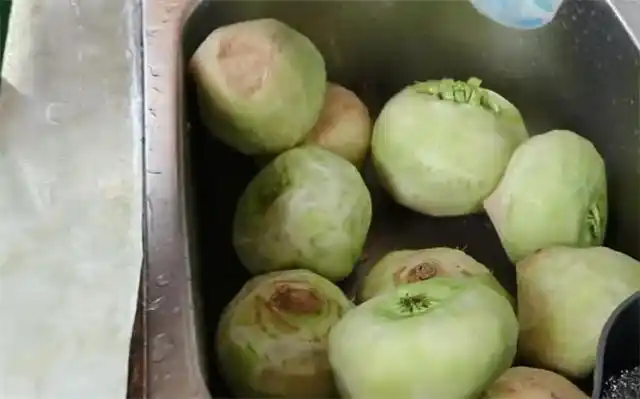 教你在家腌苤蓝,一次买20斤腌制起来,香脆爽口,保存一年不怕坏