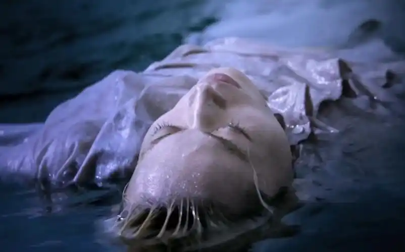 菅田将晖溺水小刀长谷川航一朗个人剪辑