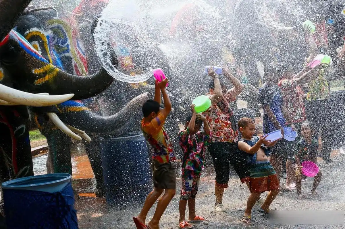 泰国新年宋干节,大城府的大象也来泼水啦!