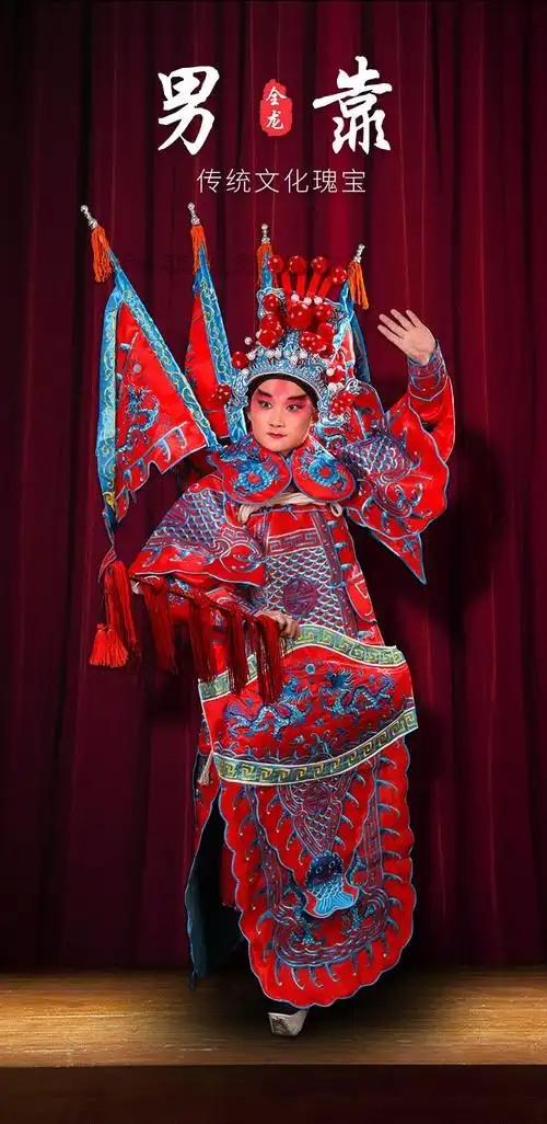 【登台表演穿的戏服】京剧戏曲男角武生大靠服装戏剧服男靠武将靠旗