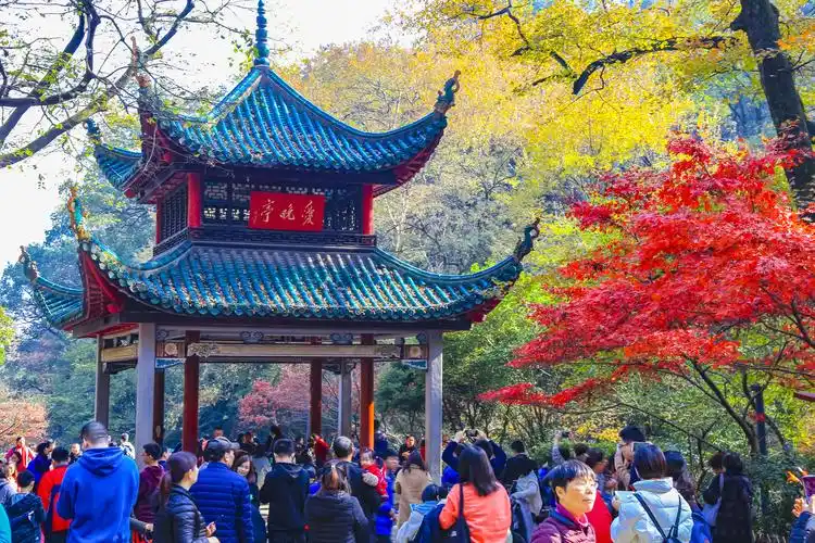 爱晚亭原名红叶亭,又名爱枫亭.