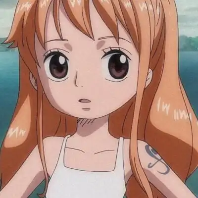 海贼王头像 自截 娜美桑