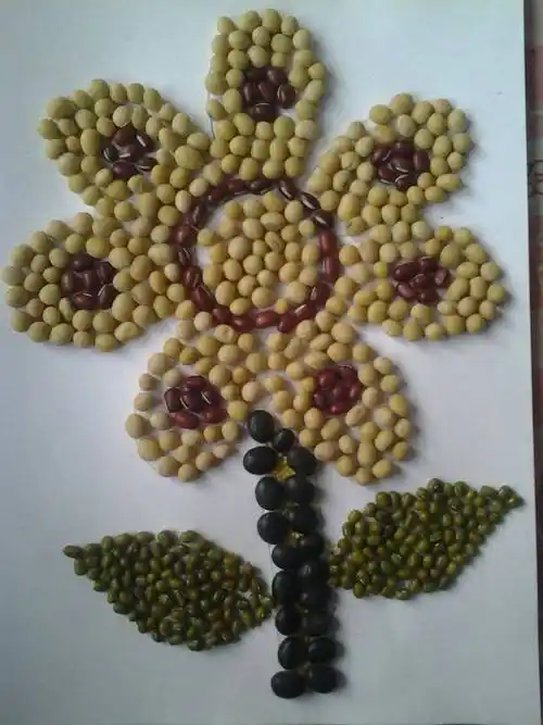 并和家长一起完成亲子作品《种子创意画》