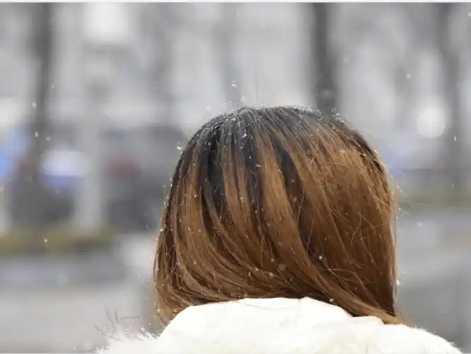 光影三里屯 | 提问:今天这场雪 你和谁一路走到白头……_雪天