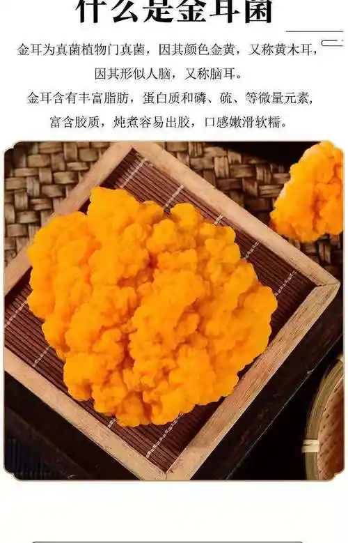 冷链直达云南新鲜野生菌金耳菌黄金耳金木耳胶质新鲜金耳菌胶质 500克