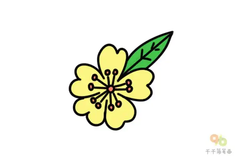 漂亮的荼蘼花简笔画