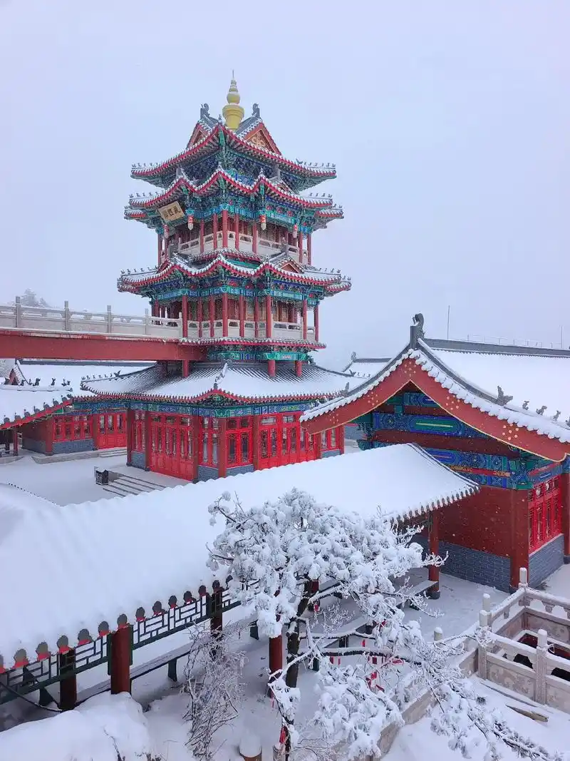 红墙白雪,银装素裹都无法形容老君山冬天的美丽;我欲乘风归去