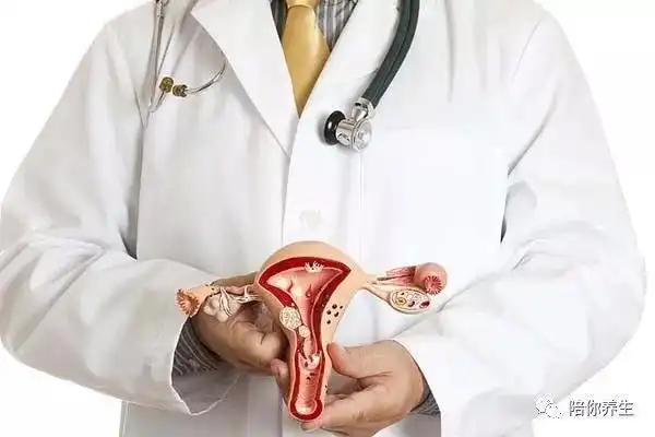 连女人都不知道的阴道小秘密!