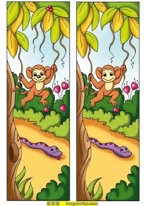 10张彩色的有趣的找不同益智游戏动物图片免费下载-红豆饭小学生简笔