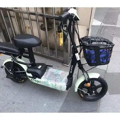 新日新国标电动车小果酱48v12ah铅酸