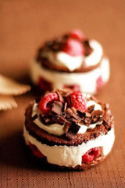 蔓越莓 奶油 巧克力 小点心