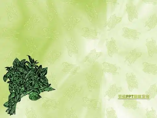 ppt母版(绿色)蔬菜背景-食物_文档下载