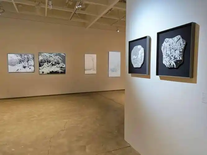 现场展出了26位优秀青年艺术家(蔡涵悦,陈俊,陈望,程保忠,戴丹丹