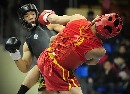 散打冠军赛高手逐鹿 展现雄健男儿阳刚之气(图)(3)