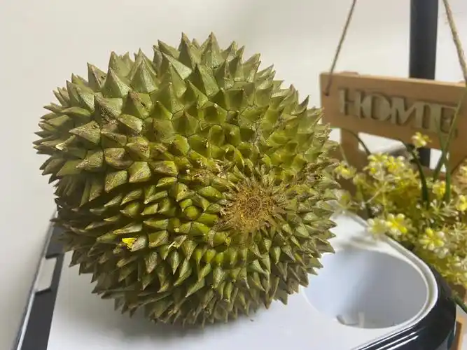 100元四斤青尼榴莲