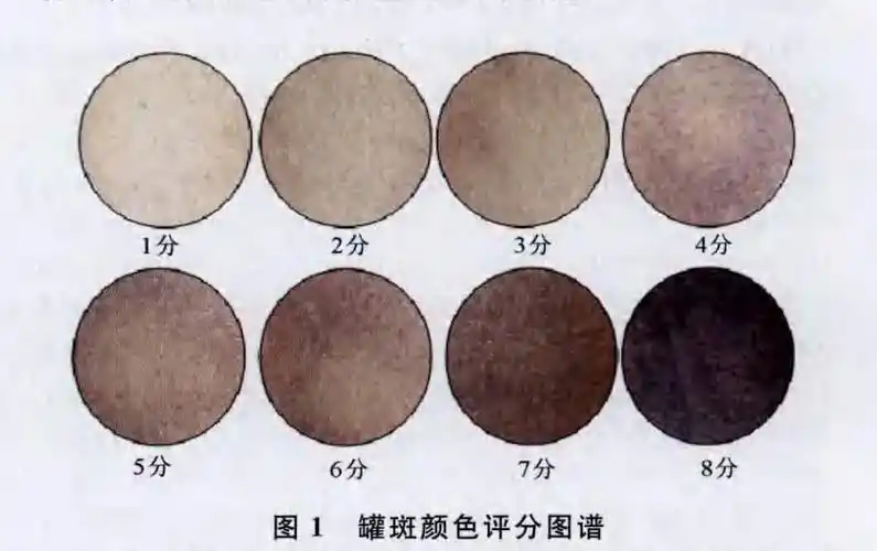 拔罐颜色越深"毒"越多?