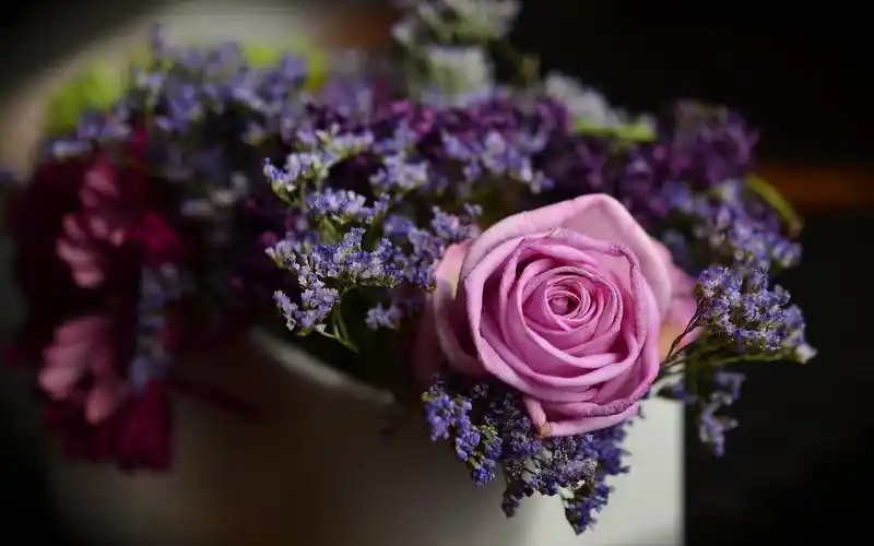 玫瑰花束壁纸高清原图查看