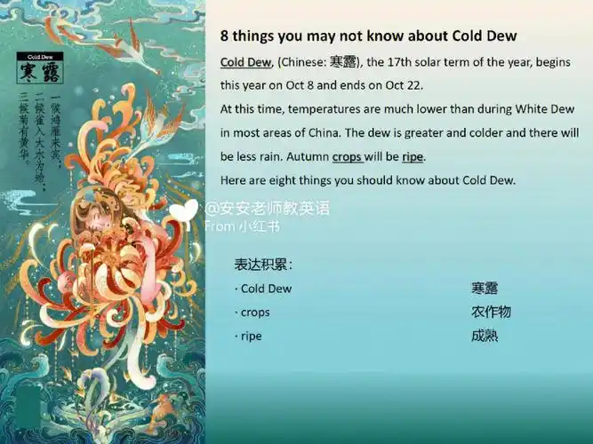 dew 寒露crops 农作物ripe 成熟temperatures drop significantly