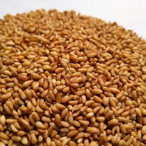 柏子仁干净无杂侧柏子 新货柏子仁 脱壳柏籽仁批发-报价-阿里巴巴