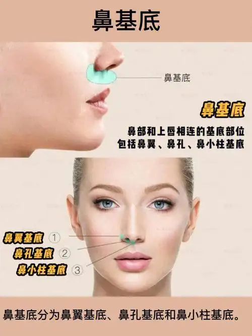 粉丝问答之鼻基底