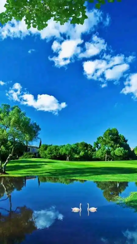 蓝天白云绿草地,动态壁纸.-度小视