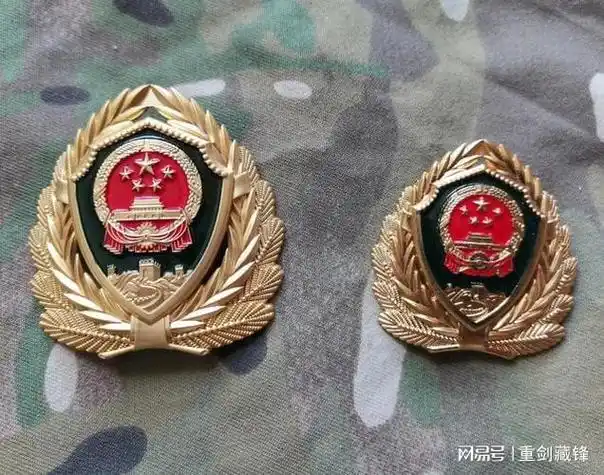 有战友说武警21式帽徽设计有问题,红色面积过大,美学上不够和谐