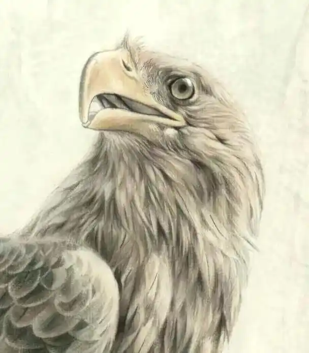 立秋#艺术品收藏 #中国画 #工笔鹰#唐坚作品 - 抖音