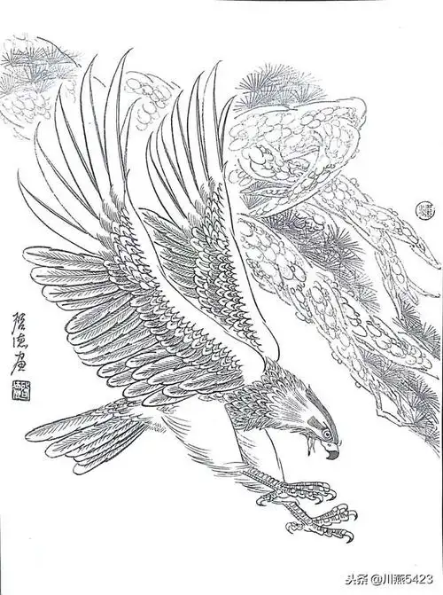 中国龙凤凰鹰画法