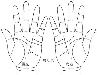成功线(太阳线)的解析-手相图解-华易网