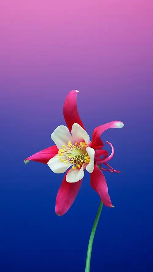 iphone8系统主题高清手机壁纸图片