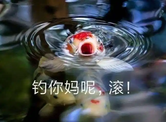 钓你妈呢,滚 - 发表情 - fabiaoqing.com