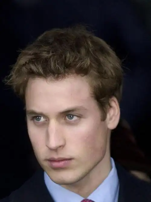 威廉王子英国皇室(英王室颜值跑偏)(2)