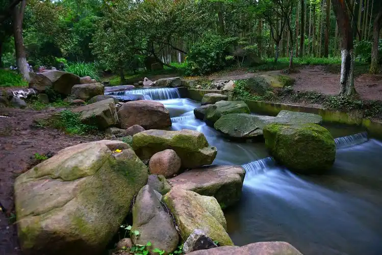梅雨季中的紫金山小溪.