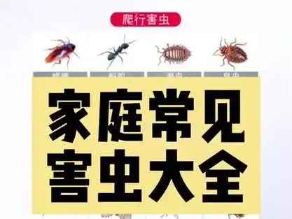 常见害虫图片大全,家里常见的几种虫子,常见害虫有哪些?