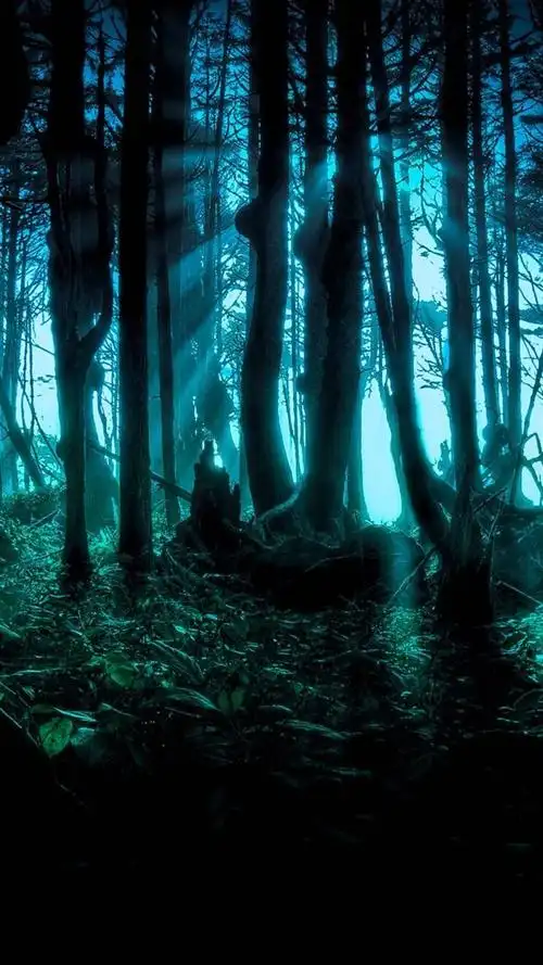 寂静岭式迷雾森林风景