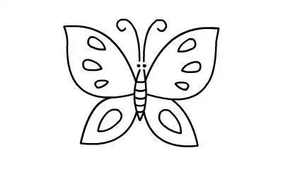 小学动物简笔画蝴蝶