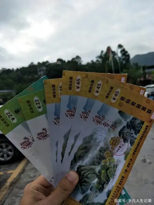 直接输入"樟木头观音山"按照导航"就可以直接到达,车开到门票收费处