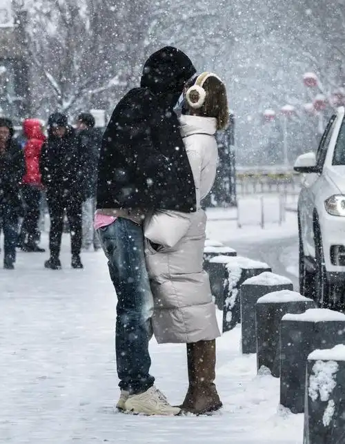 待雪入诗(现代诗)