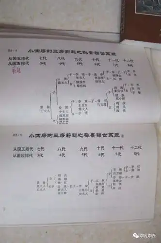 李氏各地族谱大盘点李家人快来看看有没有你家的