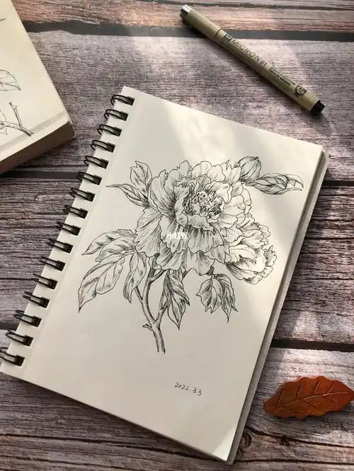 黑白花卉临摹day4牡丹